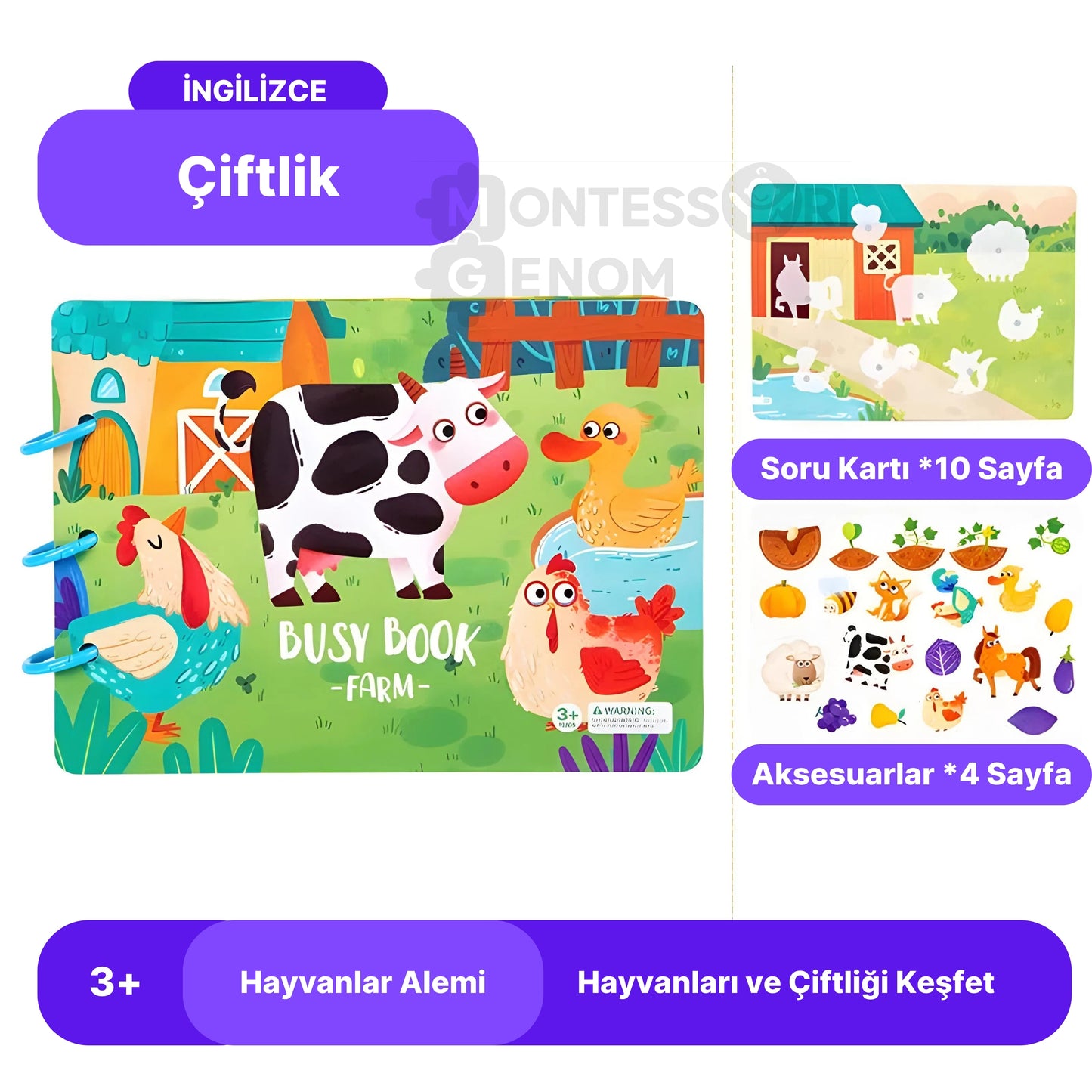 4 Eğitici Bilişsel Gelişim Çıkartma Kitabı